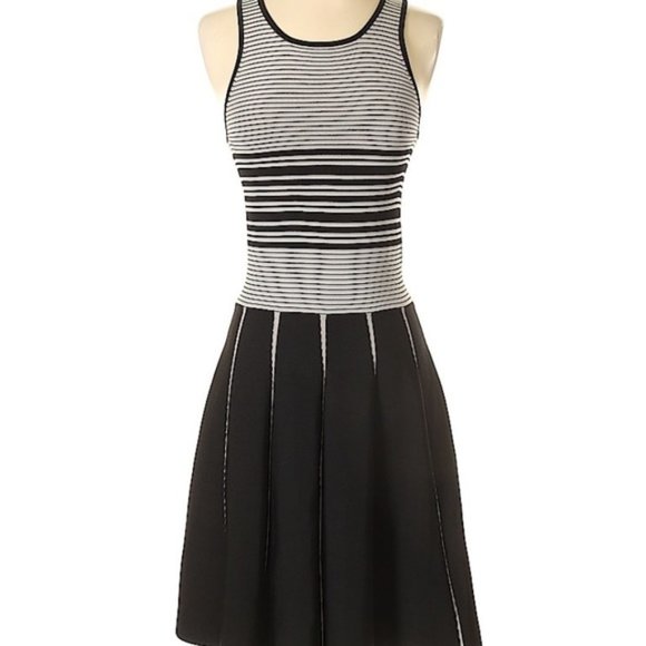 NWOT! Parker Sz XS / 2 Nia Knit Striped Nylon Skater Mini Dress A line Hem - Picture 9 of 9
